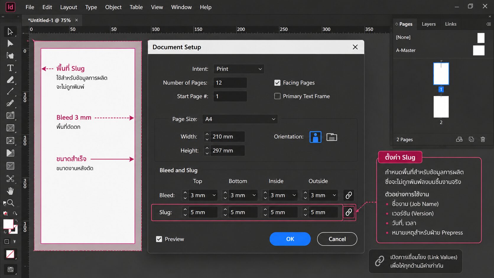 ตั้งค่า Slug ใน Adobe InDesign สำหรับงานพิมพ์