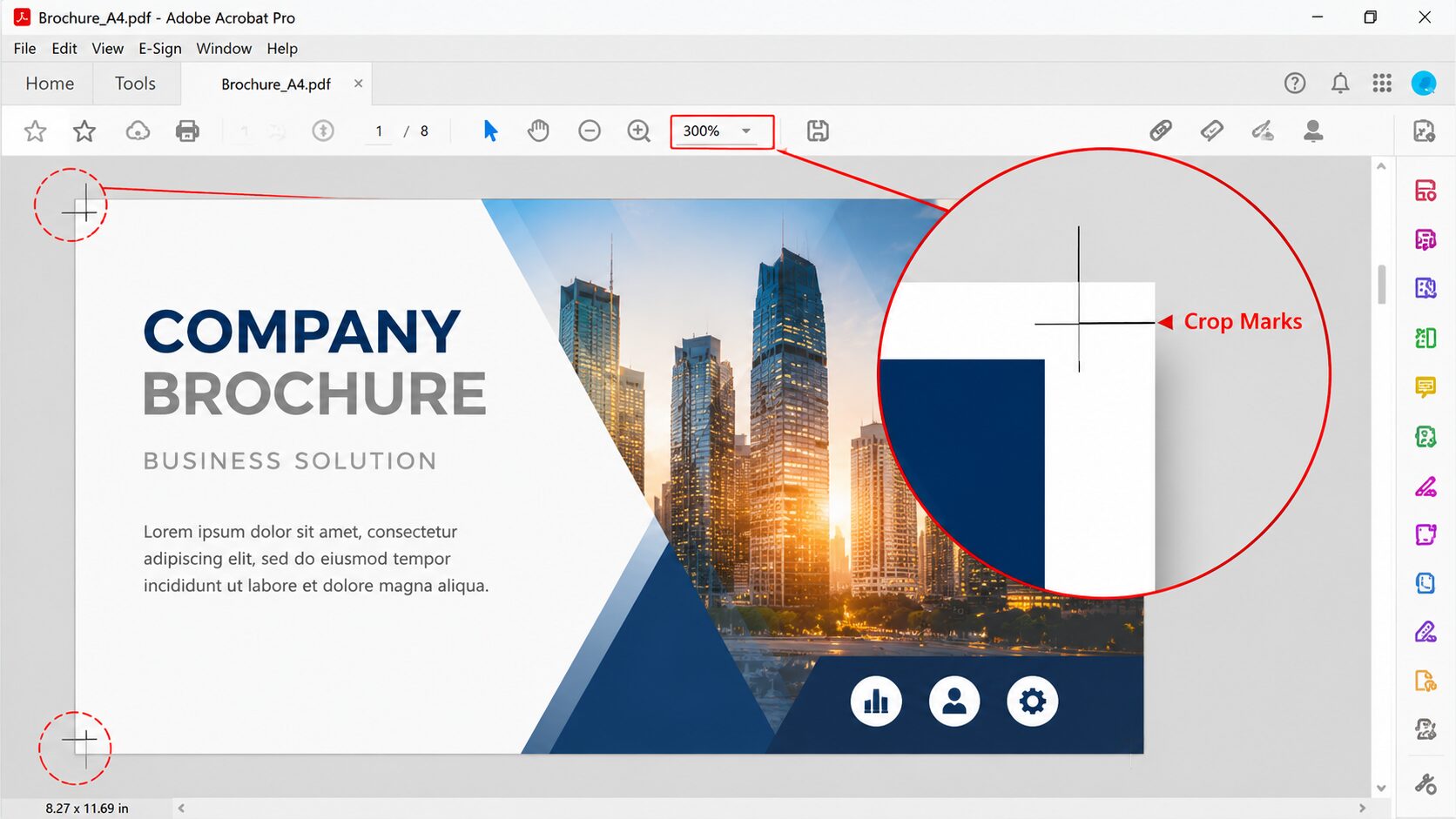 ซูมดู Crop Marks บริเวณขอบไฟล์ PDF ใน Adobe Acrobat